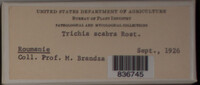 Image Associated With the Occurence